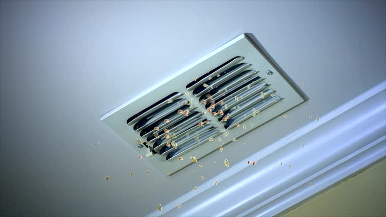 Best Home Air Vent Cleaning  in Shenandoah, IA