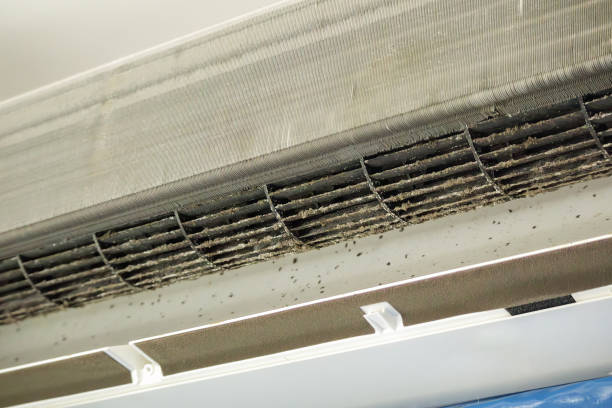 Best Affordable Air Duct Cleaning  in Shenandoah, IA